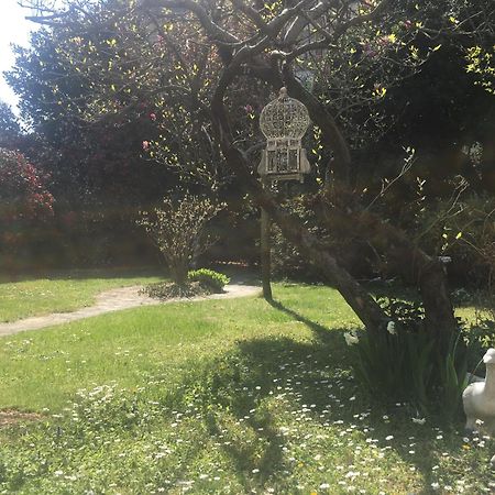 La Pallanzotta Verbania Buitenkant foto