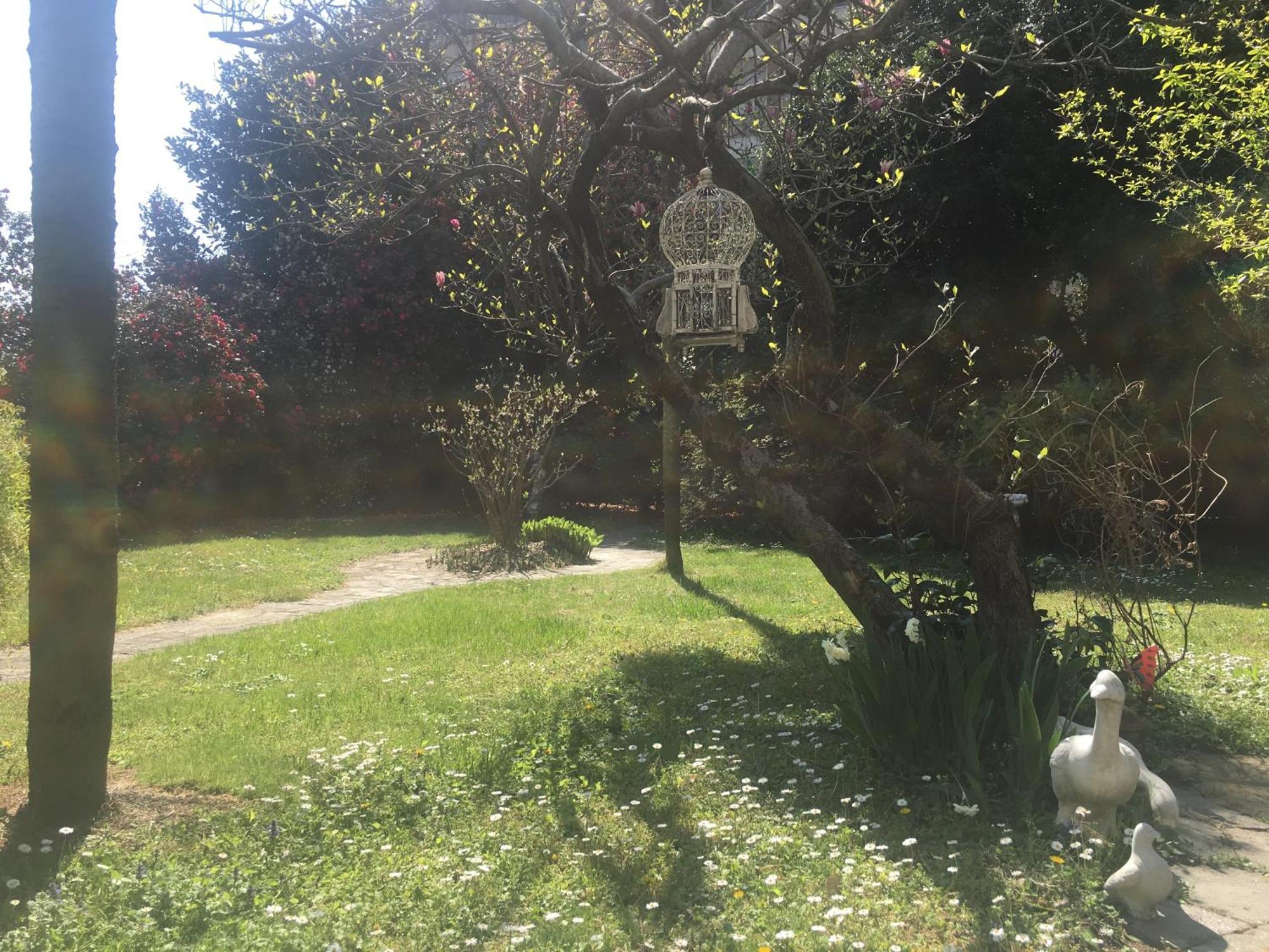 La Pallanzotta Verbania Buitenkant foto